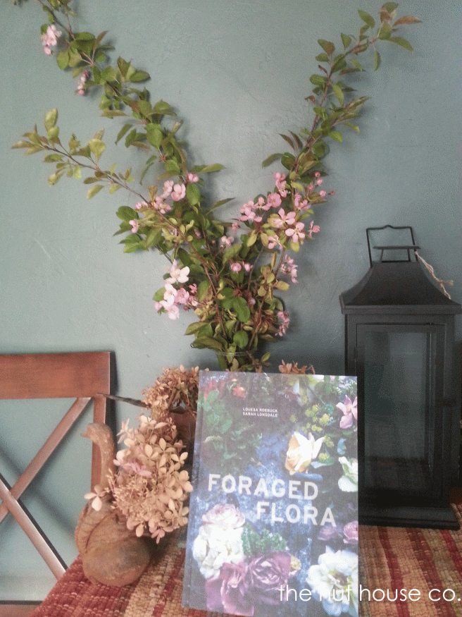 join me for forage friday on Instagram and Facebook