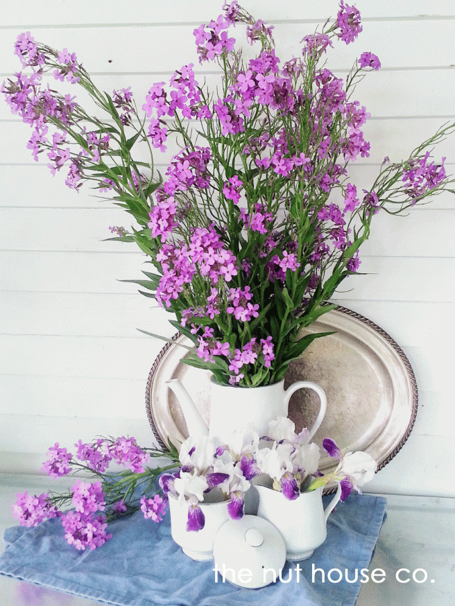forage-friday-sweet-rockets-purple-flower-coffee-set-and-silver-plater